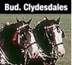 clydesdales thumb